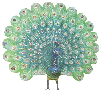The P Systems Web Page